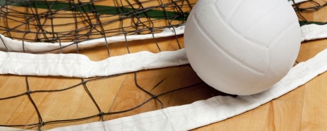 volleyball and net