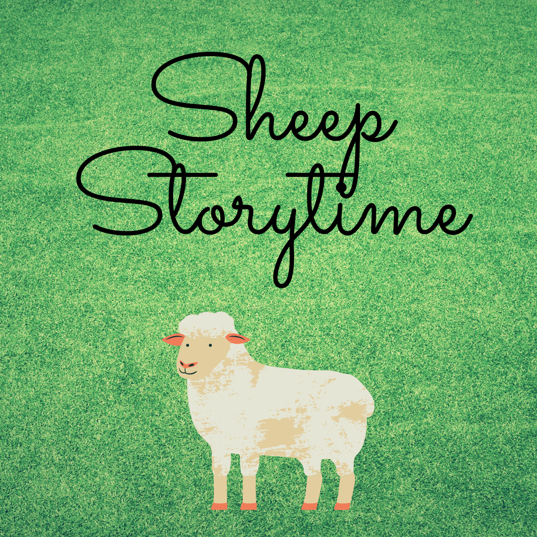 Sheep Storytime