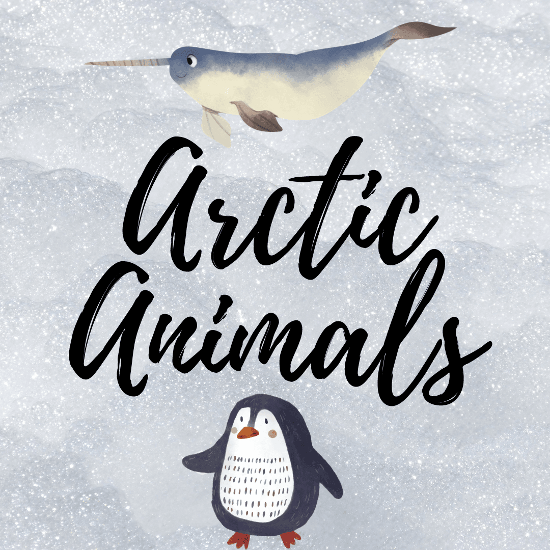 Arctic Animals