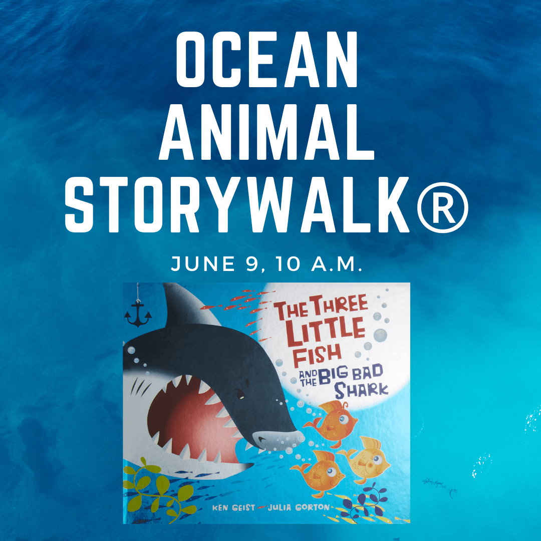 OCean Animal Storywalk