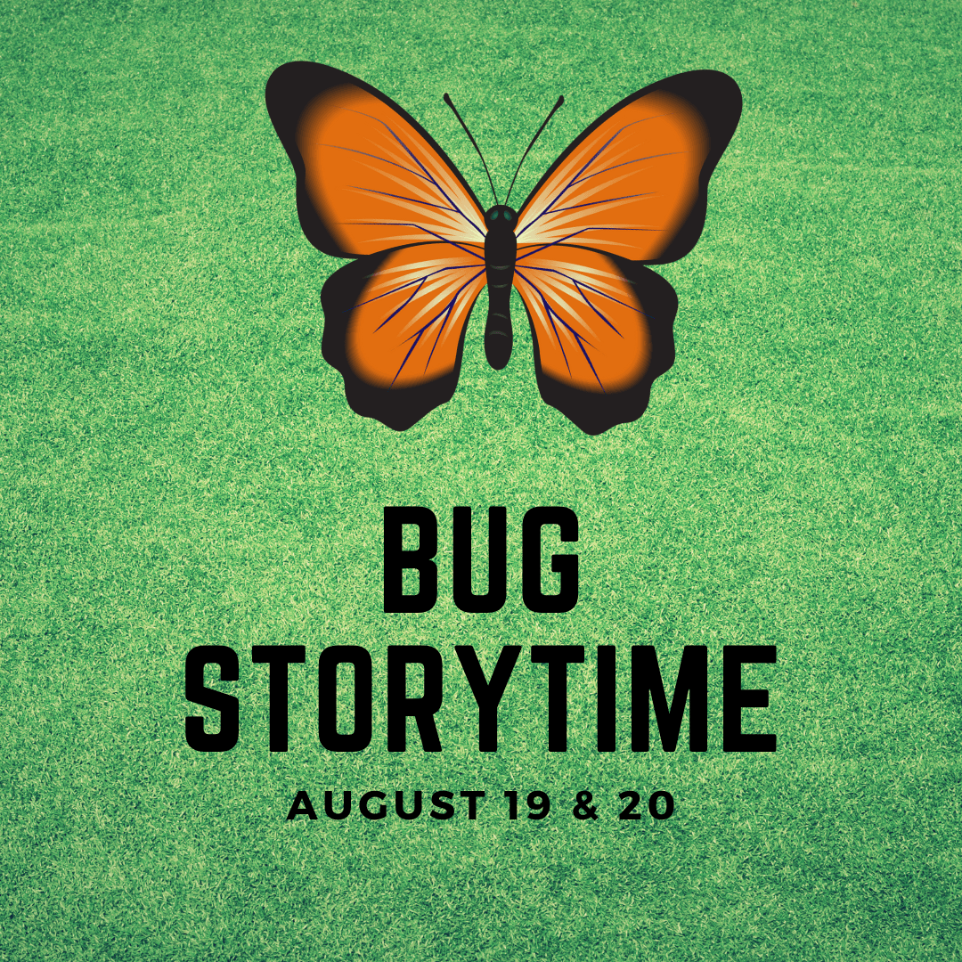 Bug Storytime (1)
