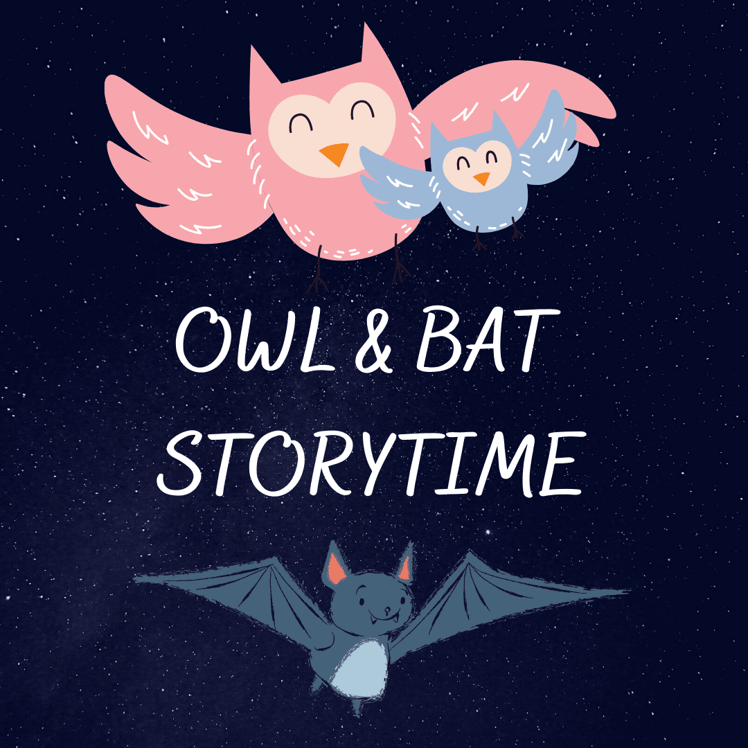 OWL  BAT STORYTIME