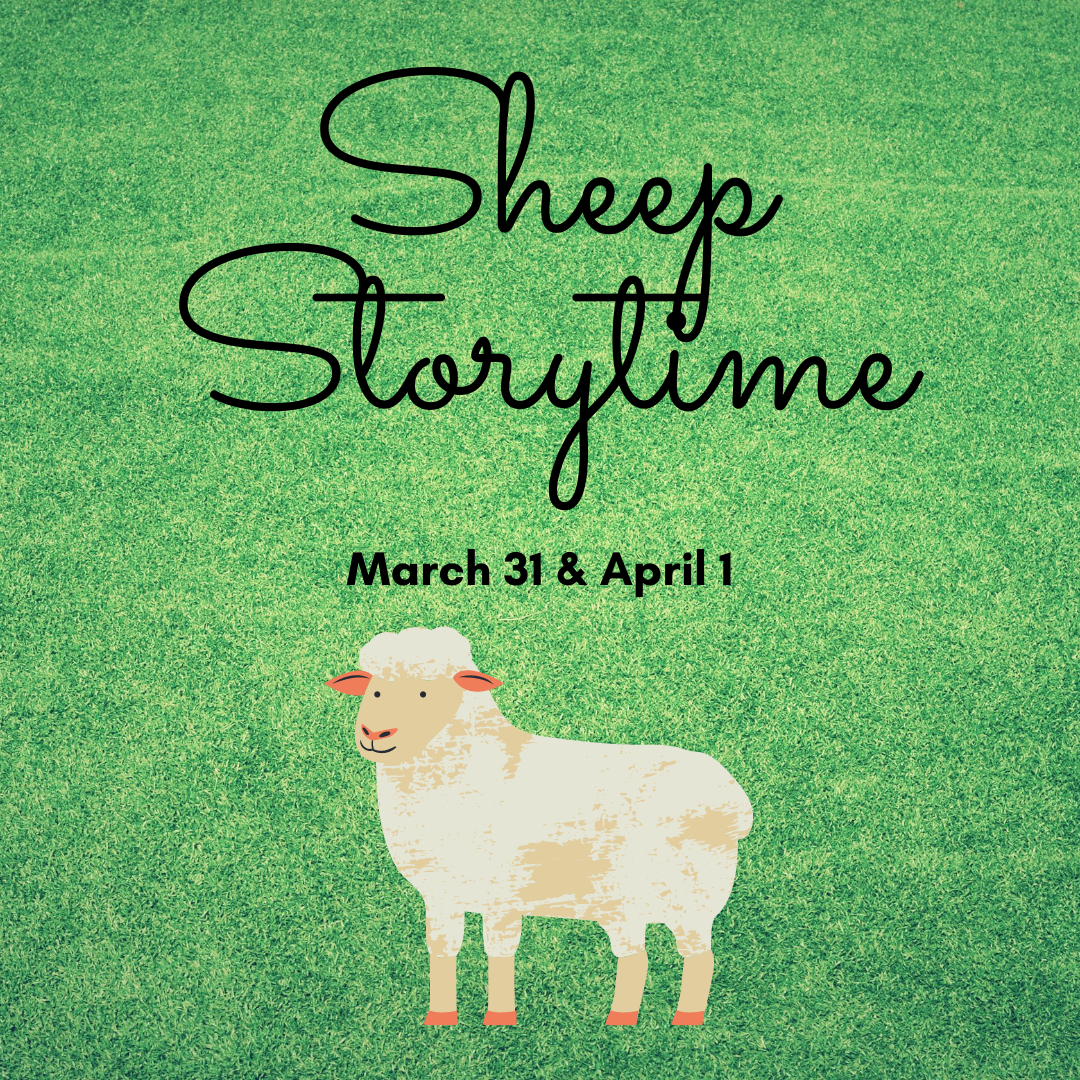 Sheep Storytime
