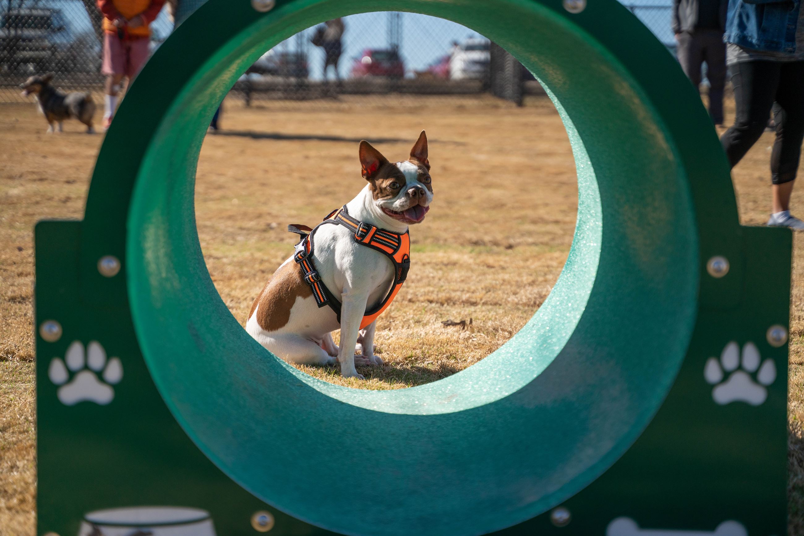 Burleson Bark Park