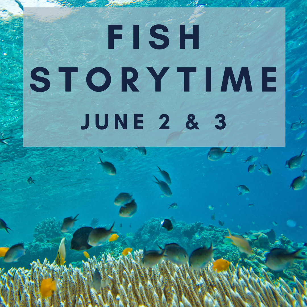 FISH STORYTIME (1)