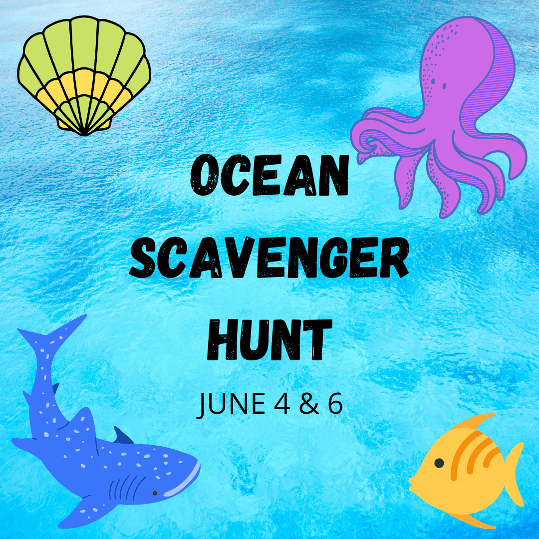 OCEAN SCAVENGER HUNT (3)