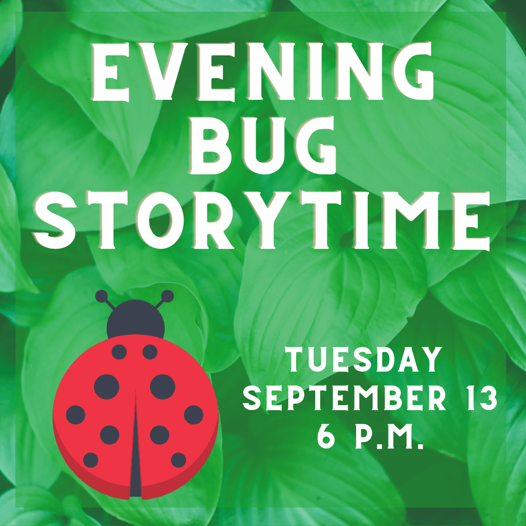 evening bug storytime