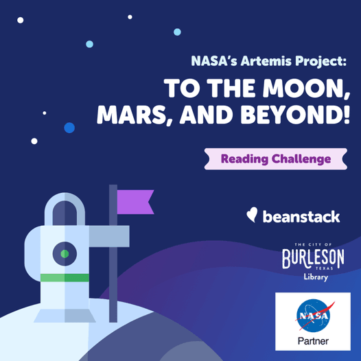 Nasa's Artemis Project Challenge