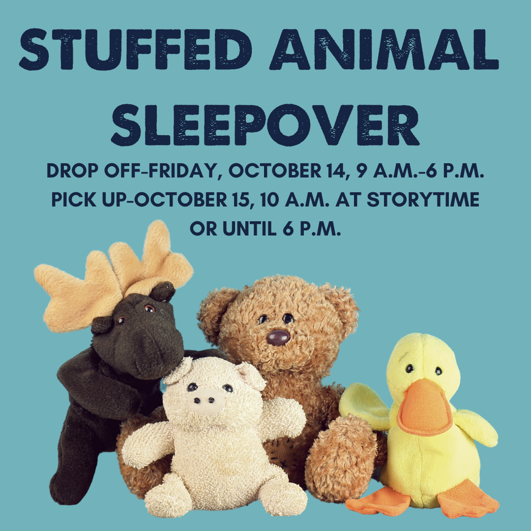 stuffed animal sleepoveR (1)