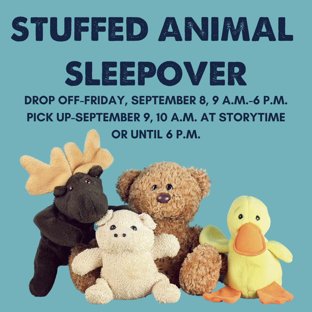 stuffed animal sleepoveR (2)