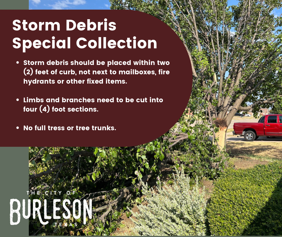 Photo of downed tree