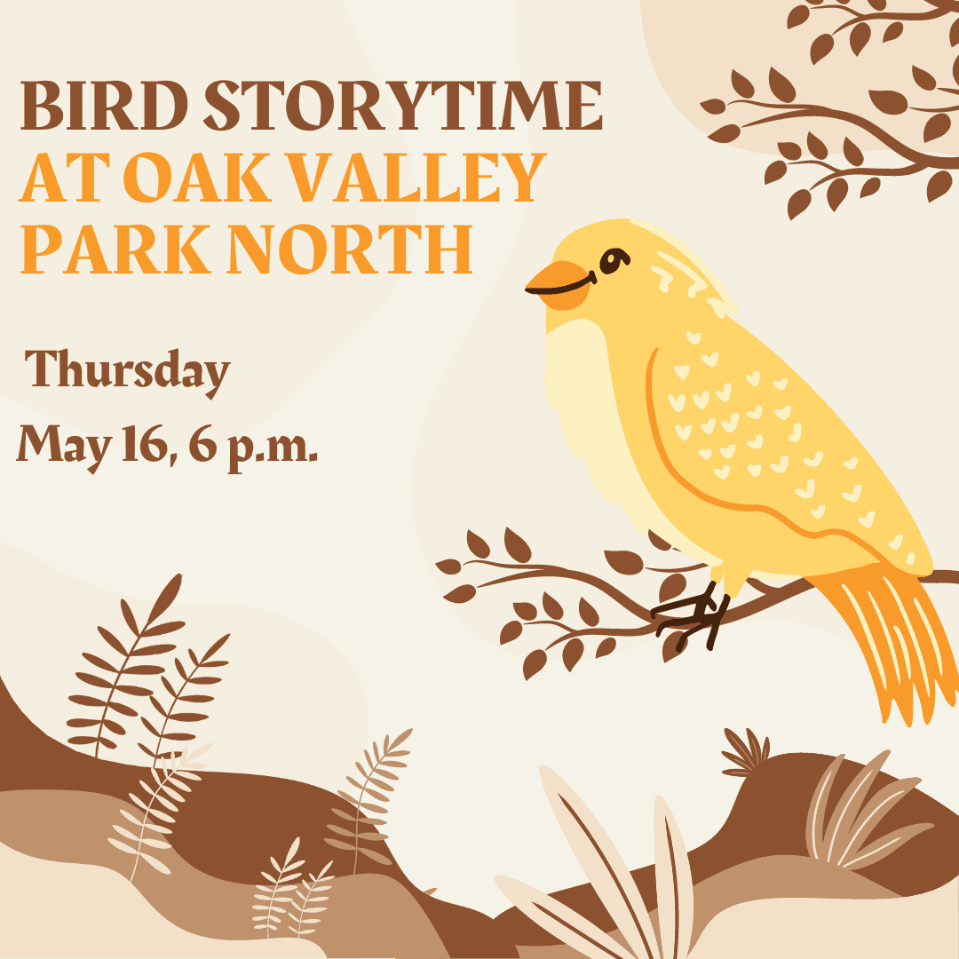 Bird Storytime at Oak valley park north