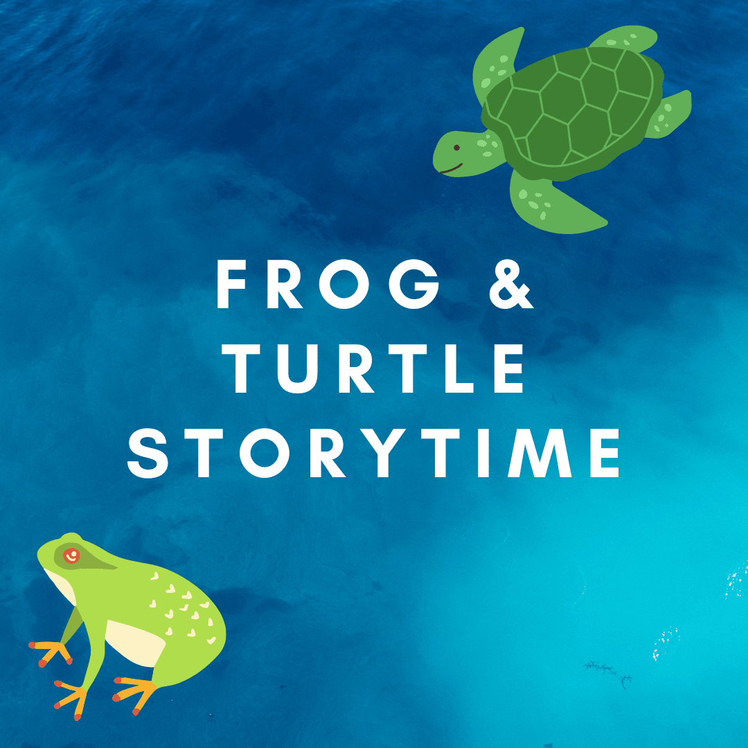 FROG TURTLE STORYTIME