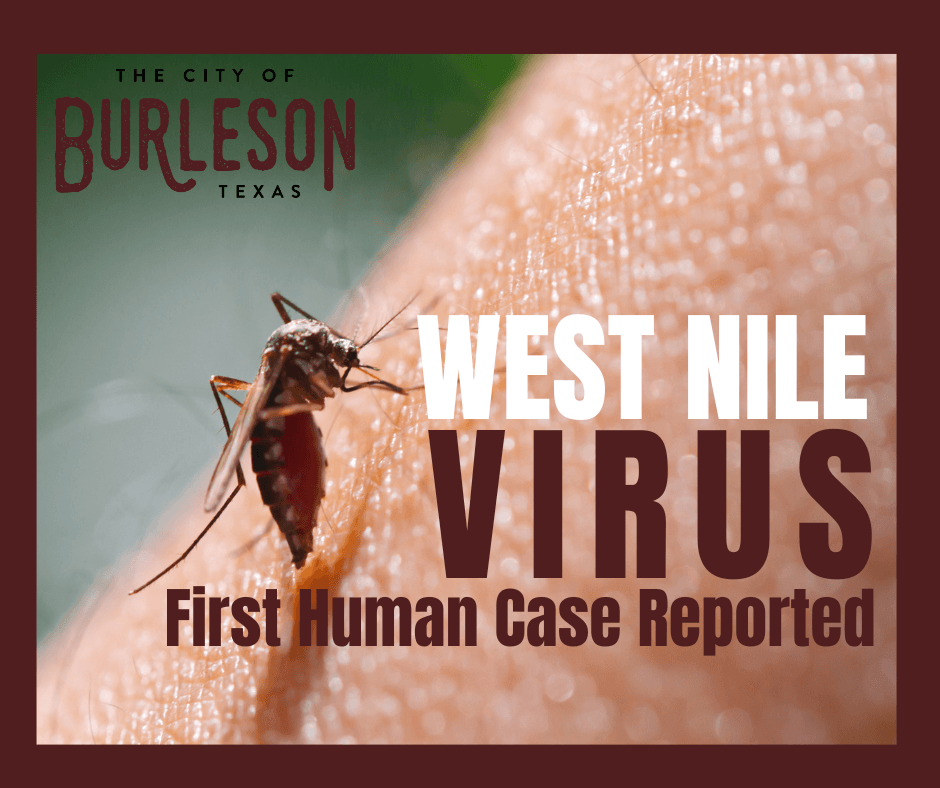 photo of a mosquito with the text 'west nile virus first human case reported'