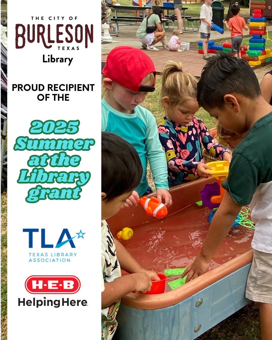 Summer at the Library grant (2)