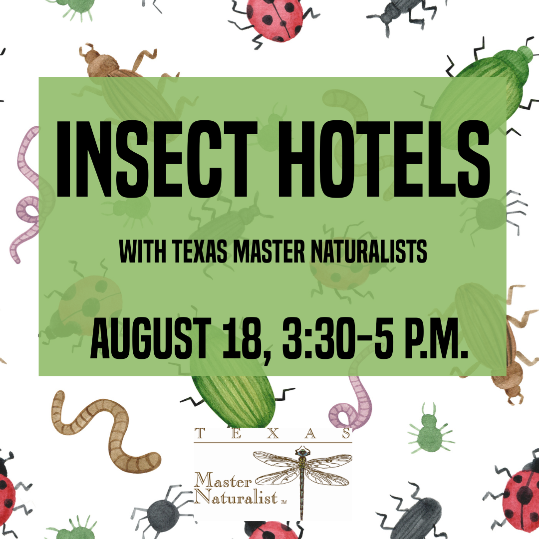 insect hotels with master naturalists