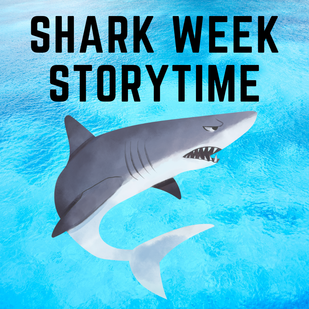 shark week storytime (1)