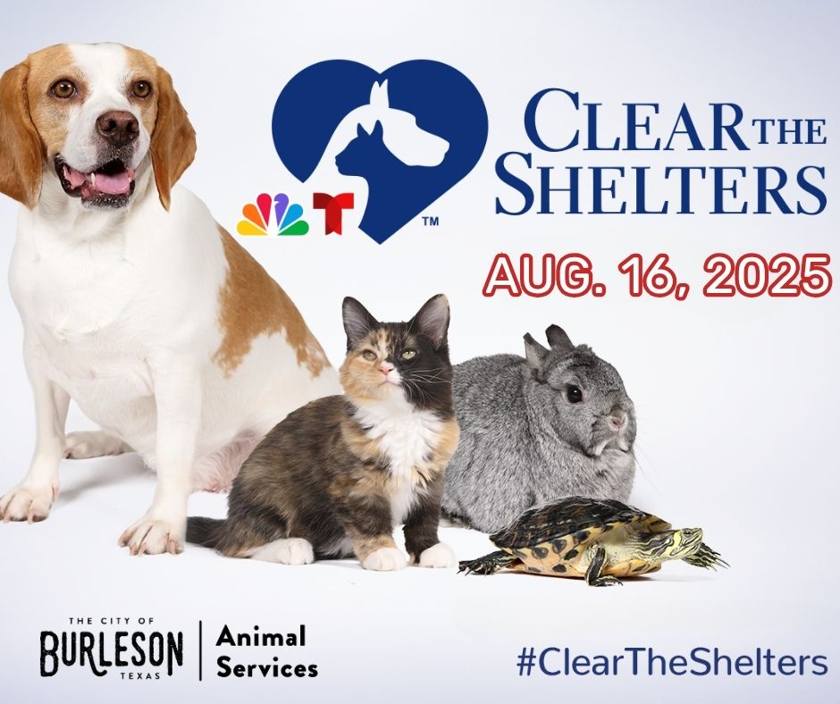 Clear the Shelters Day flyer