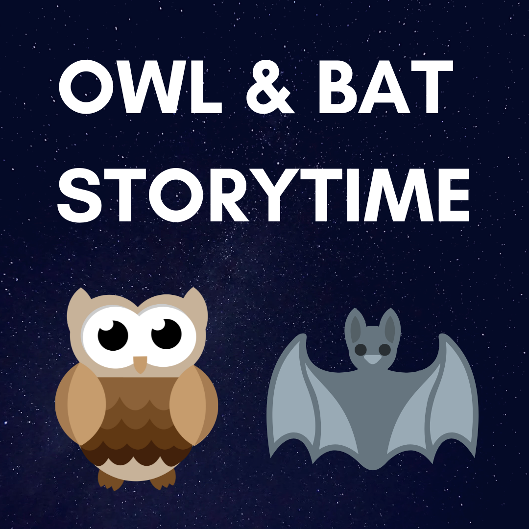 OWL  BAT STORYTIME (2)