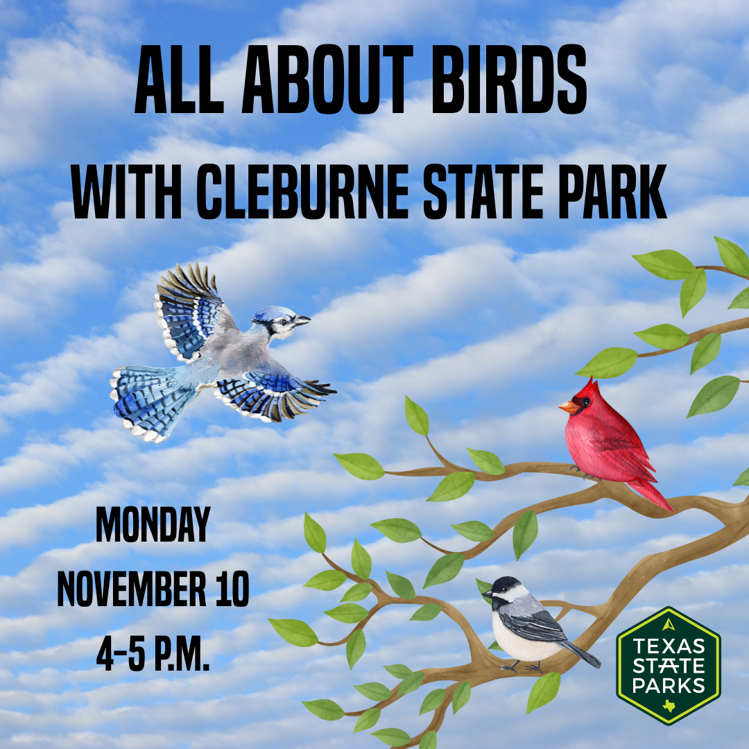 All about Birds with Cleburne State Park (1)