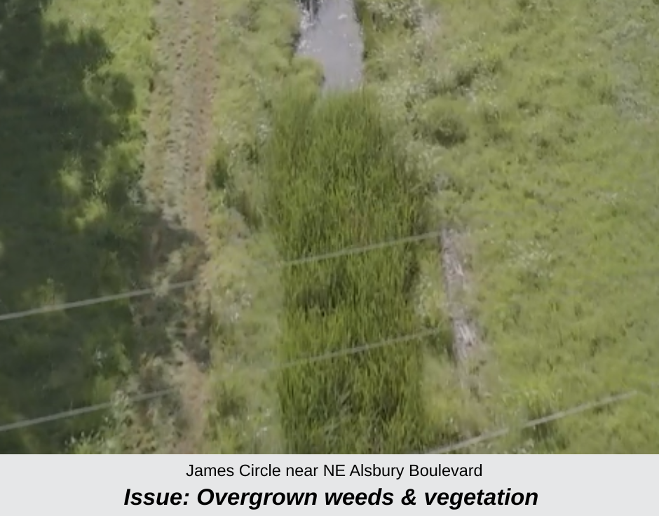 a photo of overgrown weeds in drainage area at James Circle