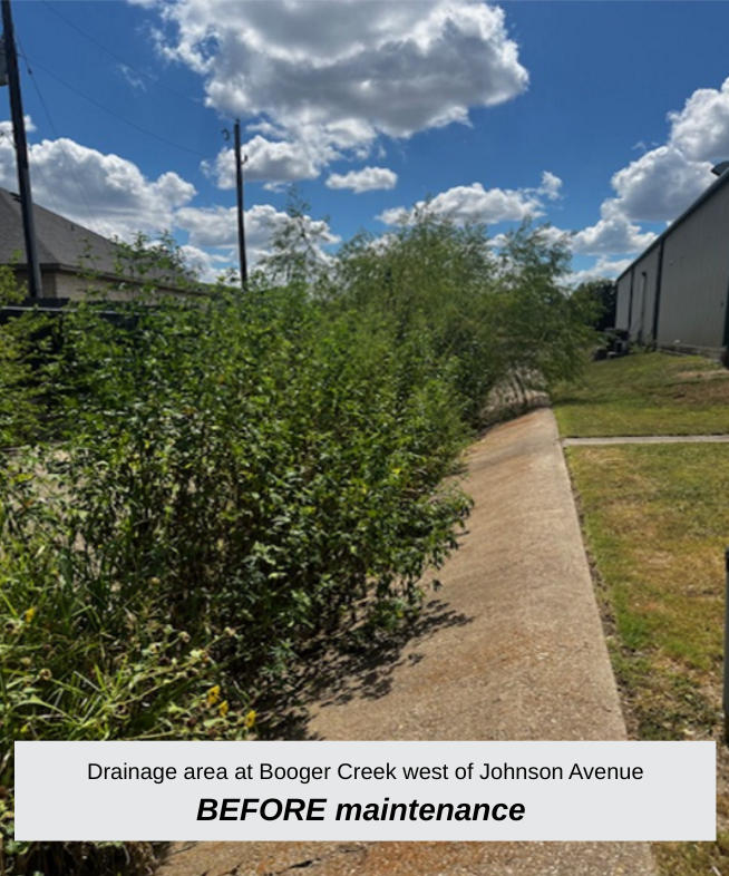  a photo of Drainage crossing at Johnson Avenue near Warren Park before maintenance 