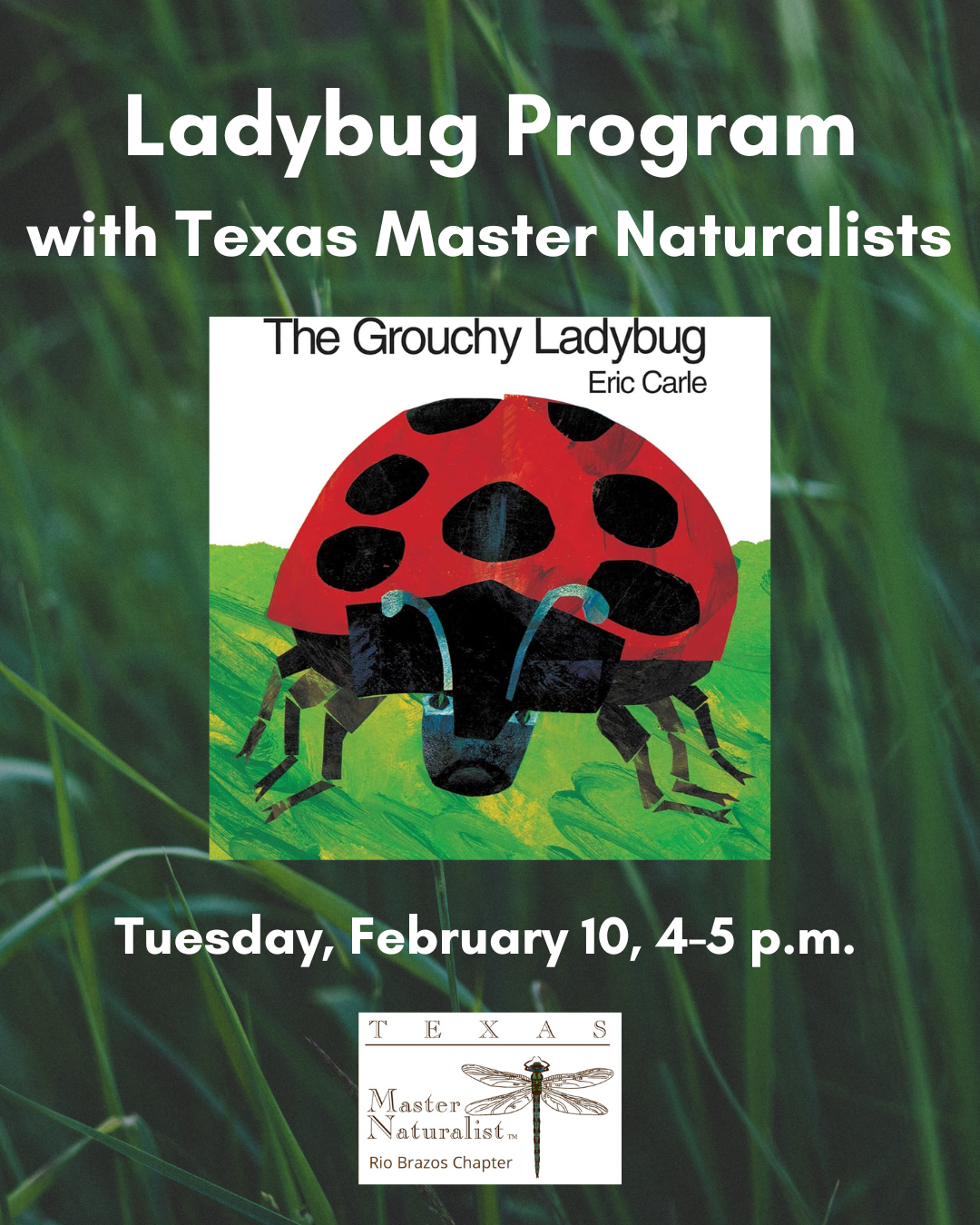 Graphic for Ladybug Master Naturalists program on February 10 at 4 pm